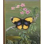 Paintings - Paintings Manufacturer, Wholesale Paintings